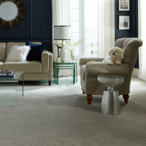 Modern Living Room Carpet | SP Floors & Design Center